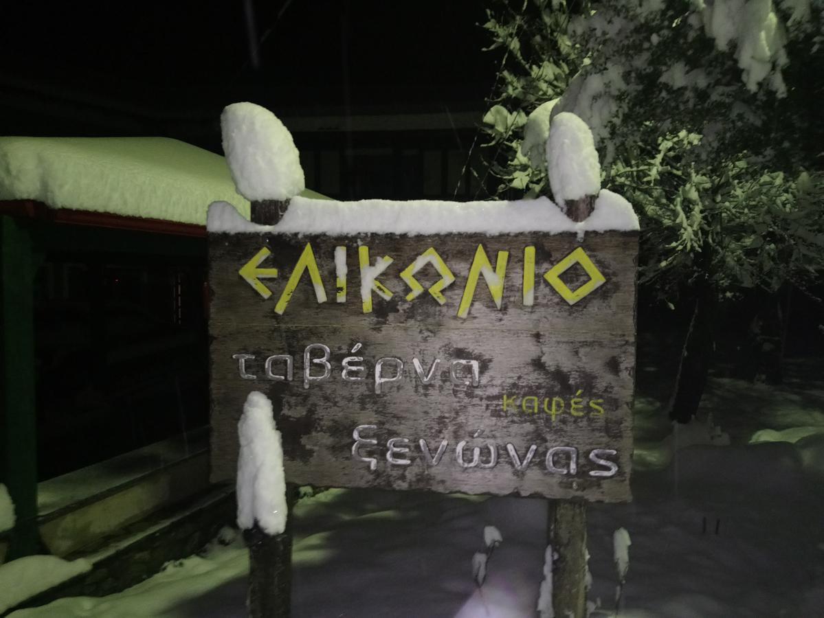 Hotel Elikonio Agia Anna  Zewnętrze zdjęcie